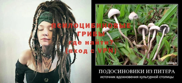 ALPHA-PVP Алексеевка