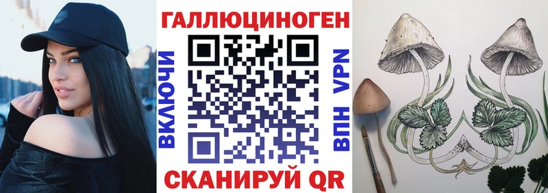 Псилоцибиновые грибы GOLDEN TEACHER где купить наркотик Шимановск